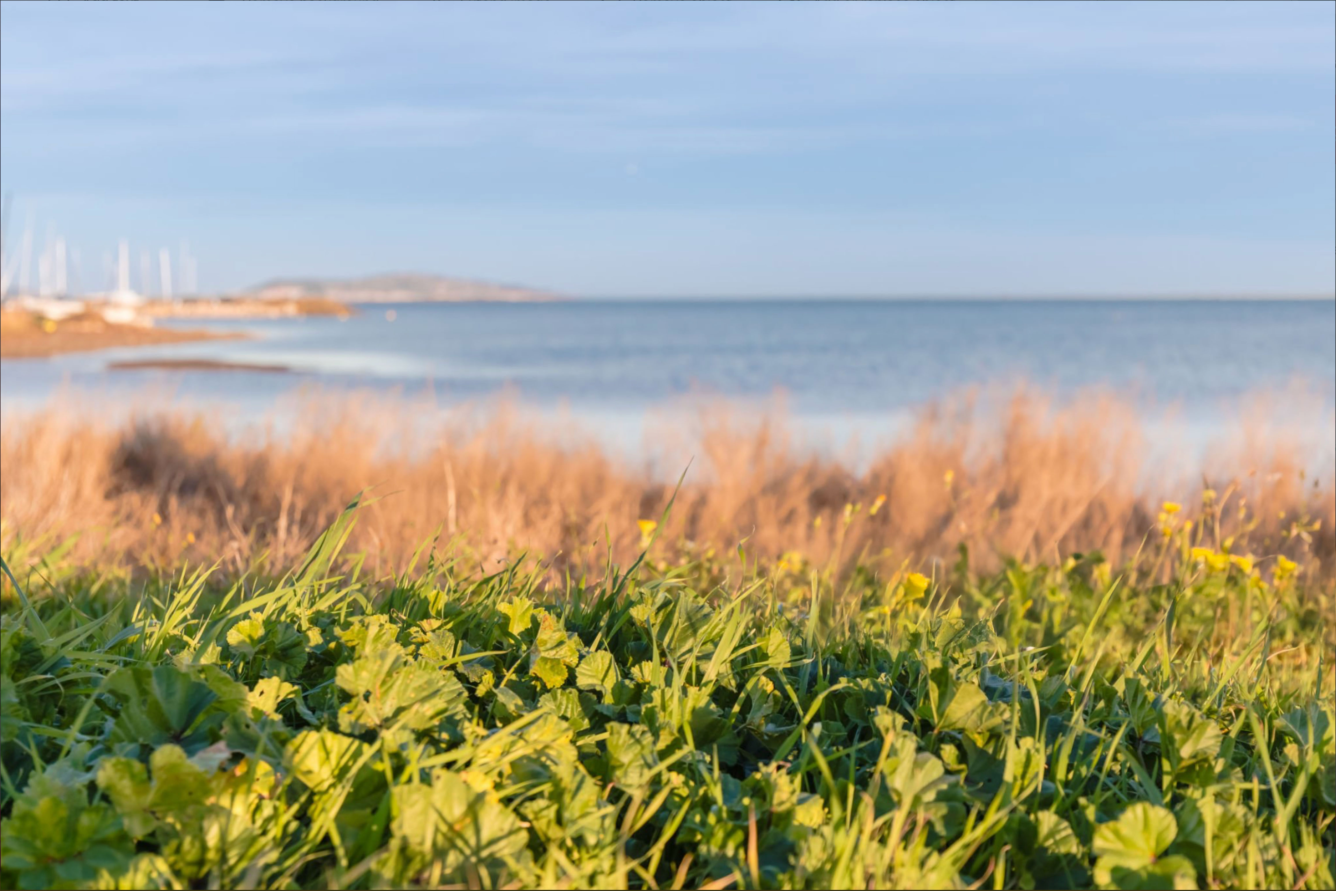 Marseillan
